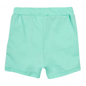 Шорти ШР530 (100% бавовна), ментол 2