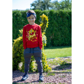 Джемпер ОЗЯ (трёхнитка без начёса) ТМ ОВЕН 2