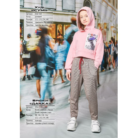 Худі ІСУМІ (трьохнитка без начосу) ТМ ОВЕН 2