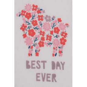 Комбінезон +1801 Квіточки корал (ажурна бавовна) 2