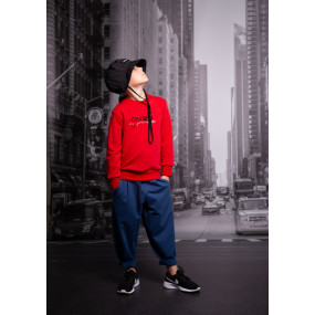 Джемпер АЛЕН (трёхнитка без начёса) ТМ ОВЕН 2