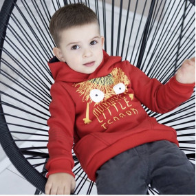 Худі КФ-700 червоний "Little Terror" (начос) 2