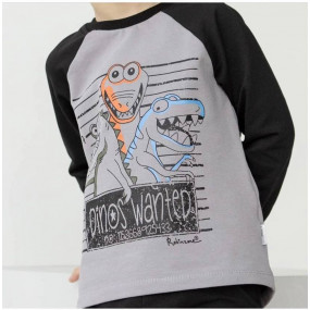 Джемпер КФ-731 сірий "Dinos" (двонитка) 2