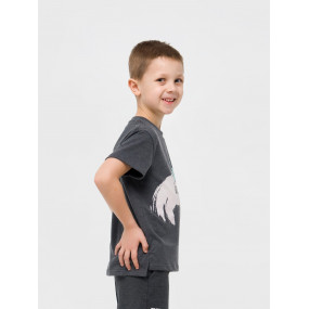 Футболка 110633-1 сірий "Глибини океану" (кулір-стрейч) 2