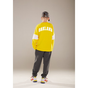 Брюки КАНЗАС (трёхнитка без начёса) ТМ ОВЕН 2