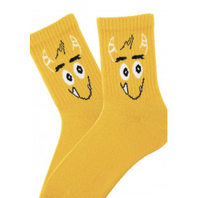 Шкарпетки 7645 - 1 пара (демі) Bross, в асортименті 2