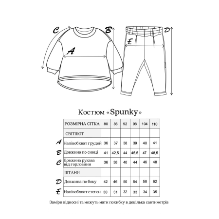Костюм "Spunky" тем.таш (на флісі) тринитка начіс