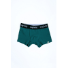 Набір 2 шт трусів "Marco" смарагдовий