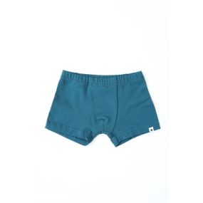 Набір 2 шт трусів "Richard" морський 2