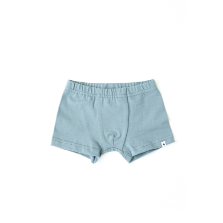 Набір 2 шт трусів "Richard" морський