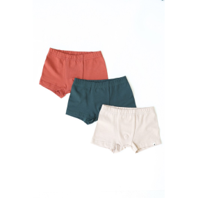 Набір 3 шт трусів "Richard" темно-зелений