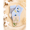 Шкарпетки 68377 блакитні/сірі - 2 пари (0/6 міс) BiBaby бавовна